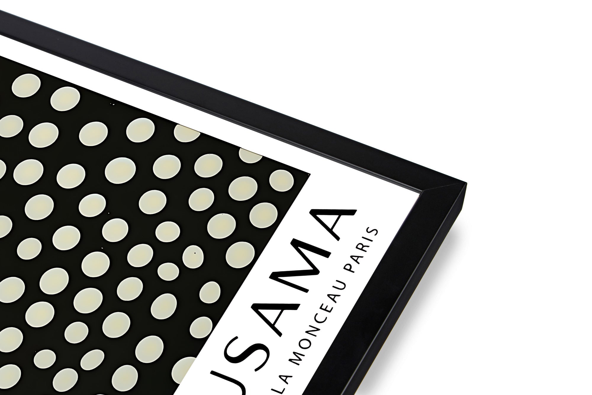 Ploka Dot Cat Print